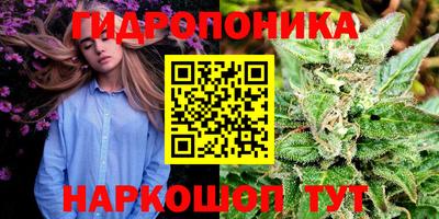 ПСИЛОЦИБИНОВЫЕ ГРИБЫ Усть-Джегута