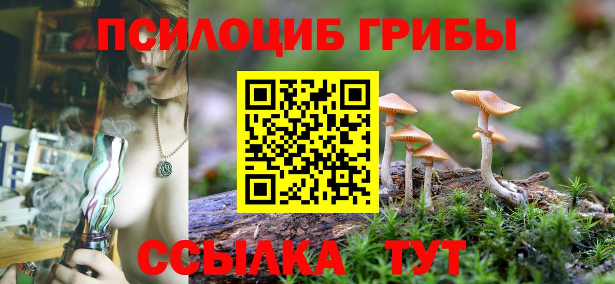Галлюциногенные грибы Cubensis  Вход с VPN  Галлюциногенные грибы Psilocybine cubensis  Аксай 